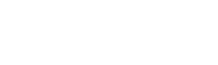 Rolar Kids - Campamentos